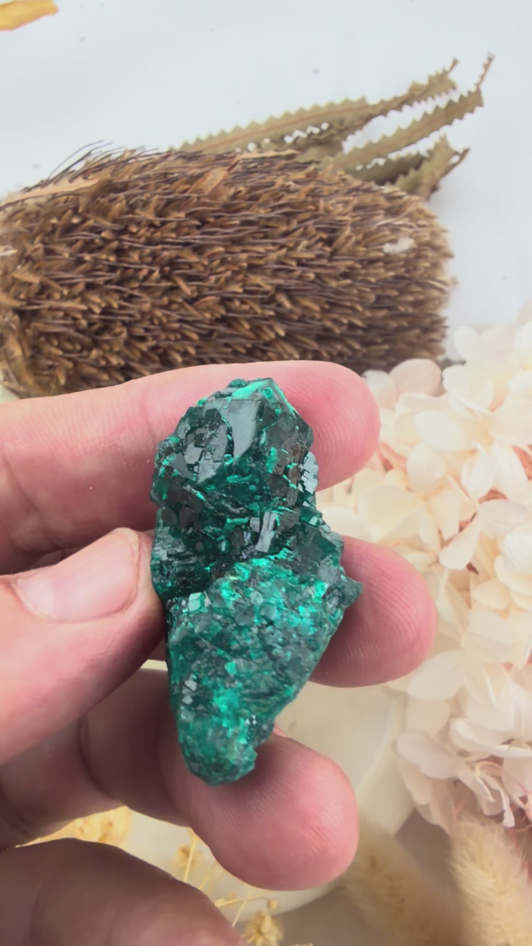 Dioptase Natural Cluster