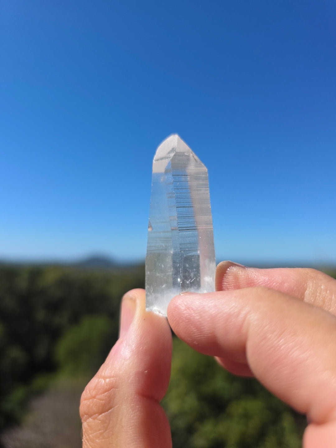 Lemurian Seed Quartz Laser