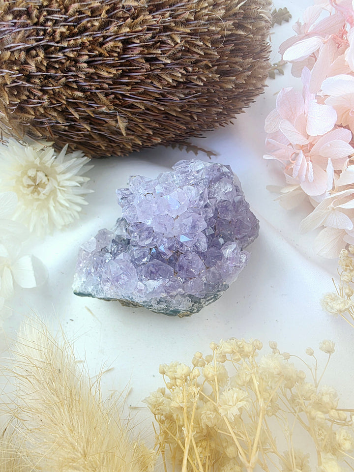 Amethyst Cluster