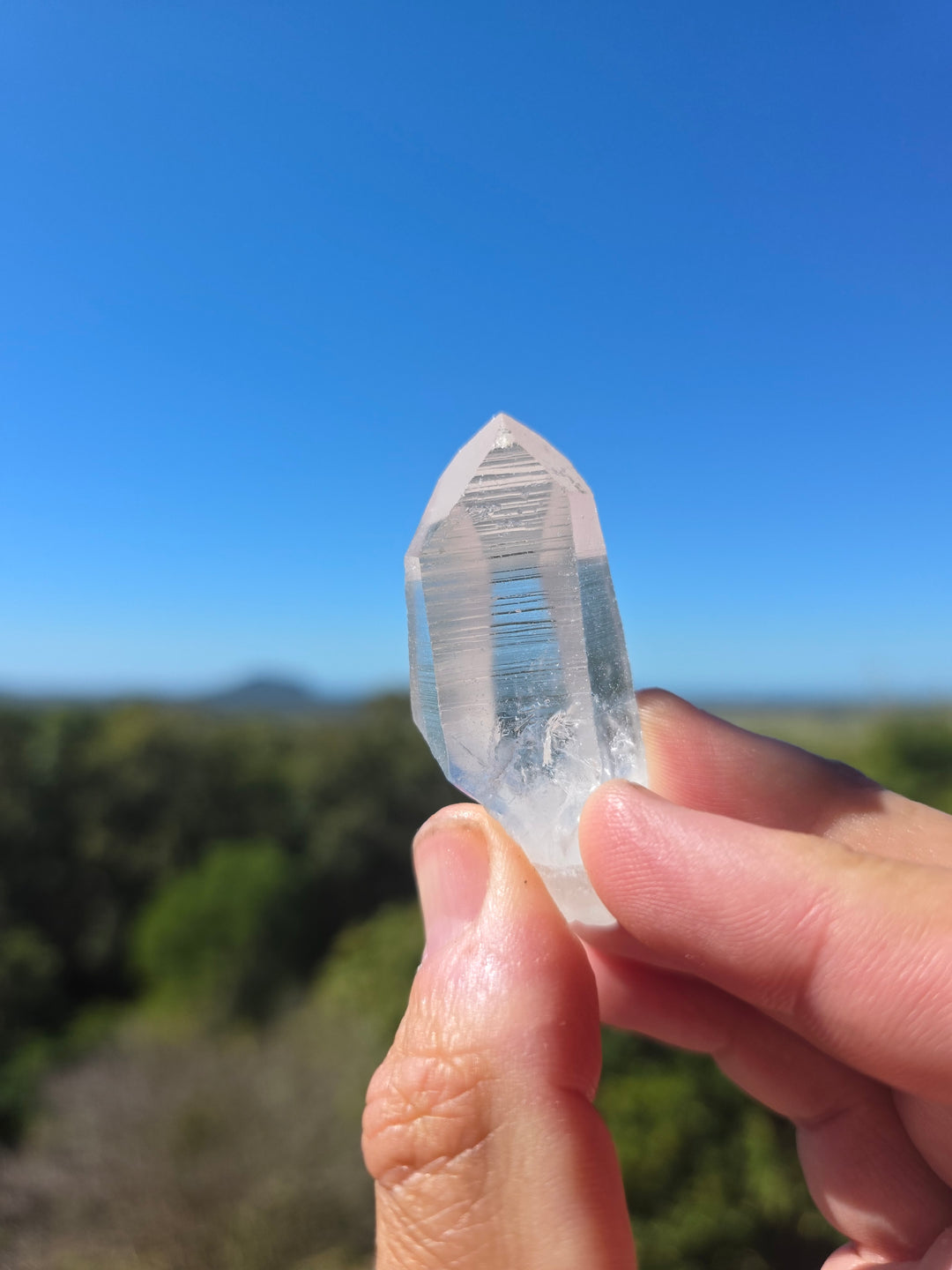 Lemurian Seed Quartz Laser
