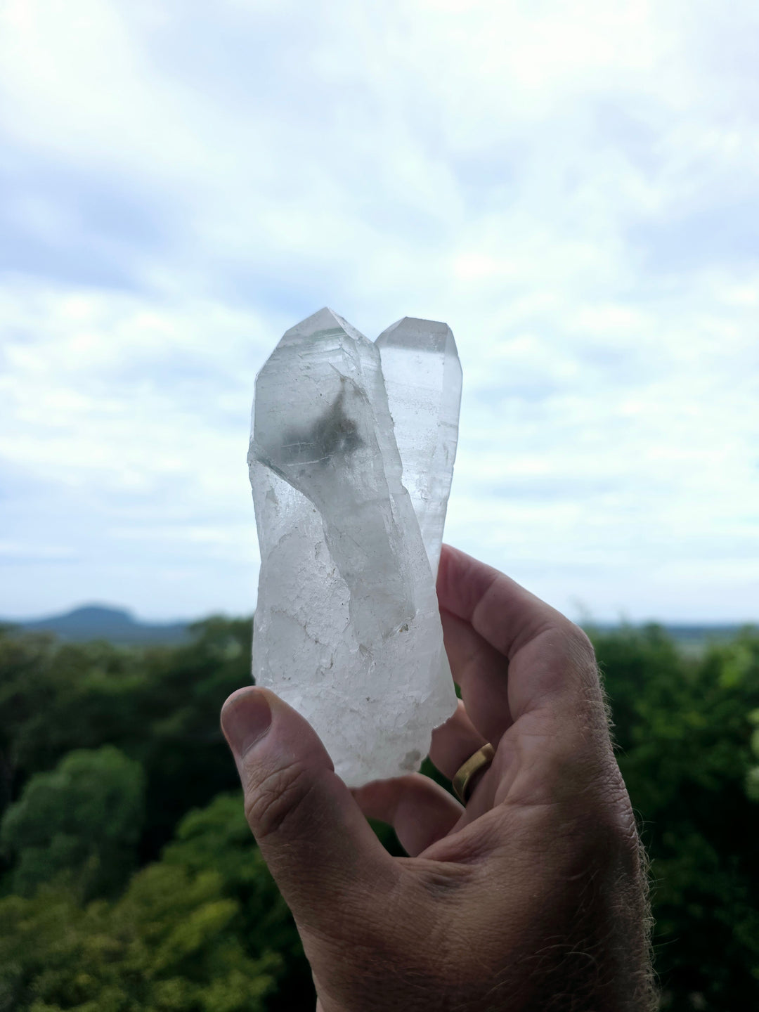 Lemurian Tantric Twin Flame Seed Quartz with Record Keepers