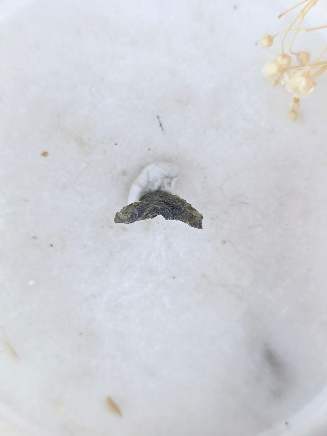 Moldavite Specimen