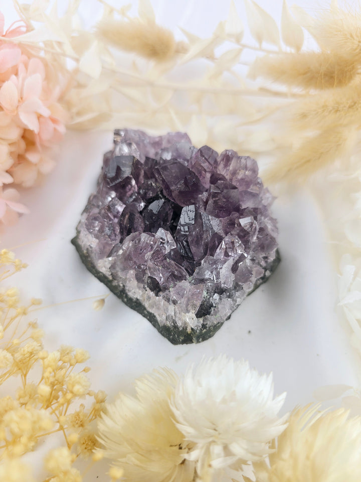 Amethyst Cluster