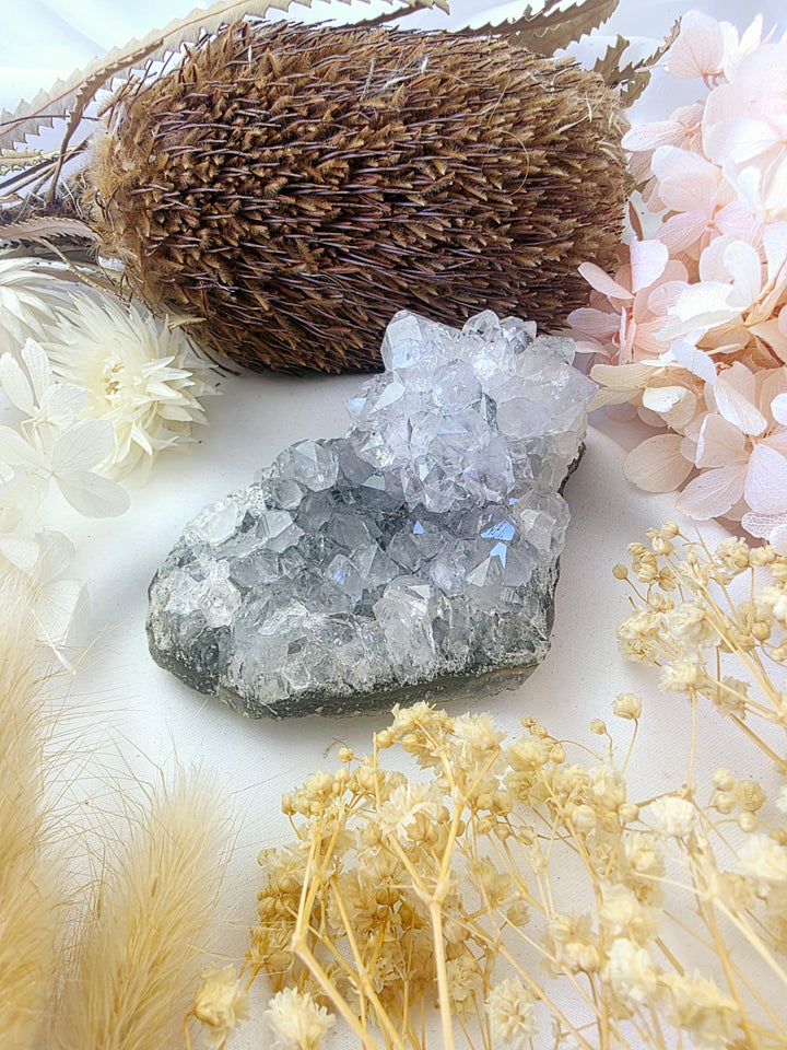 Amethyst Flower Cluster