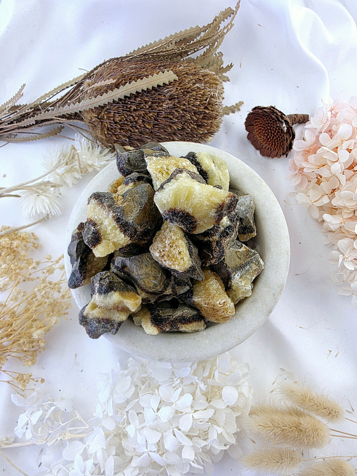 Septarian Nodule Rough