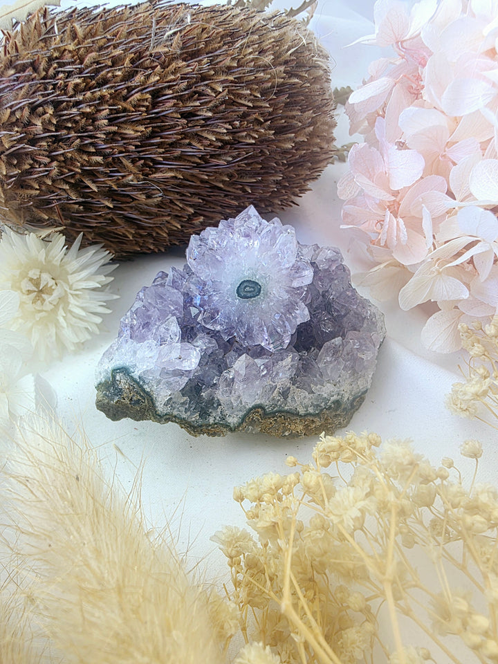 Amethyst Cluster