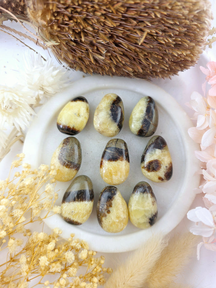 Septarian Nodule Tumbled Pendant