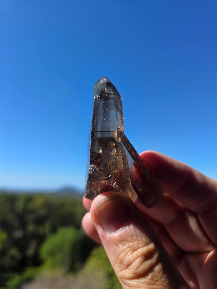 Lemurian Smoky Quartz Laser