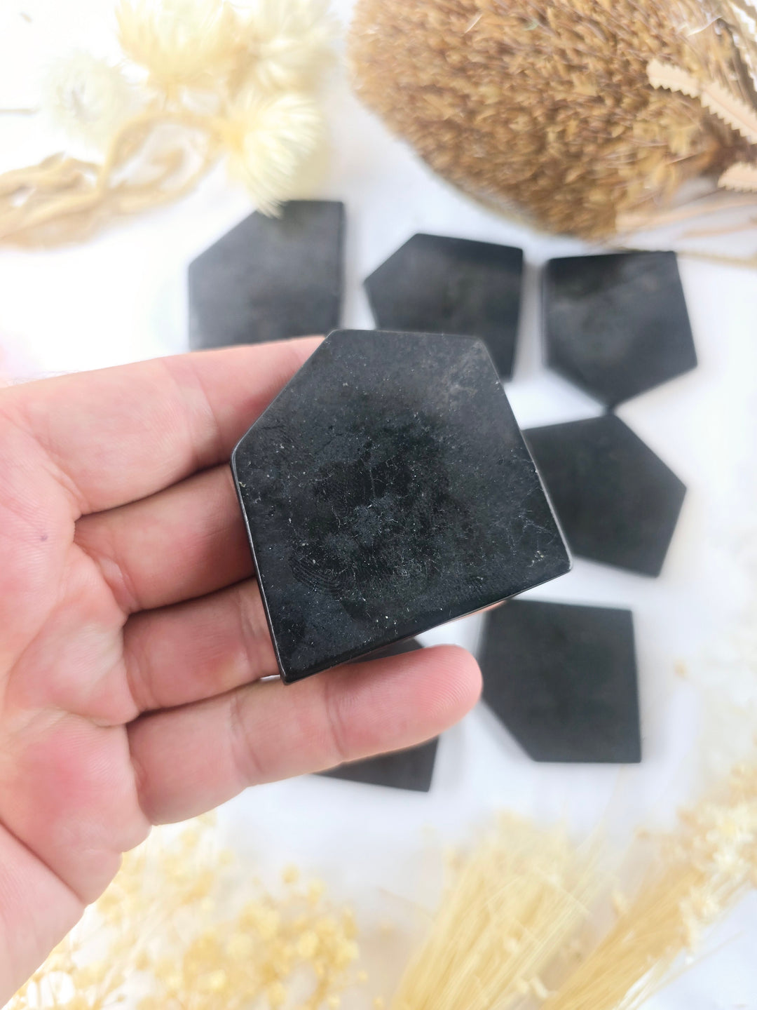 Shungite Large Slice