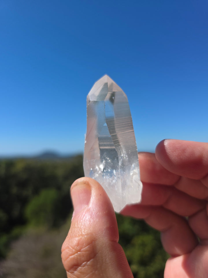 Lemurian Seed Quartz Laser