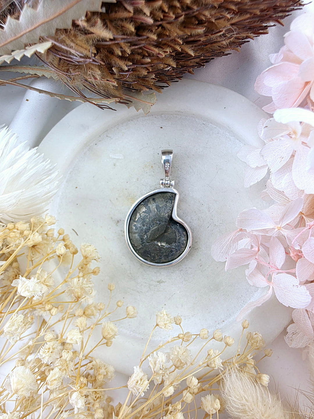 Ammonite (Pyritized) Fossil Silver Pendant
