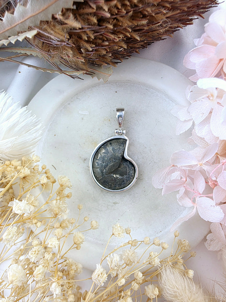 Ammonite (Pyritized) Fossil Silver Pendant