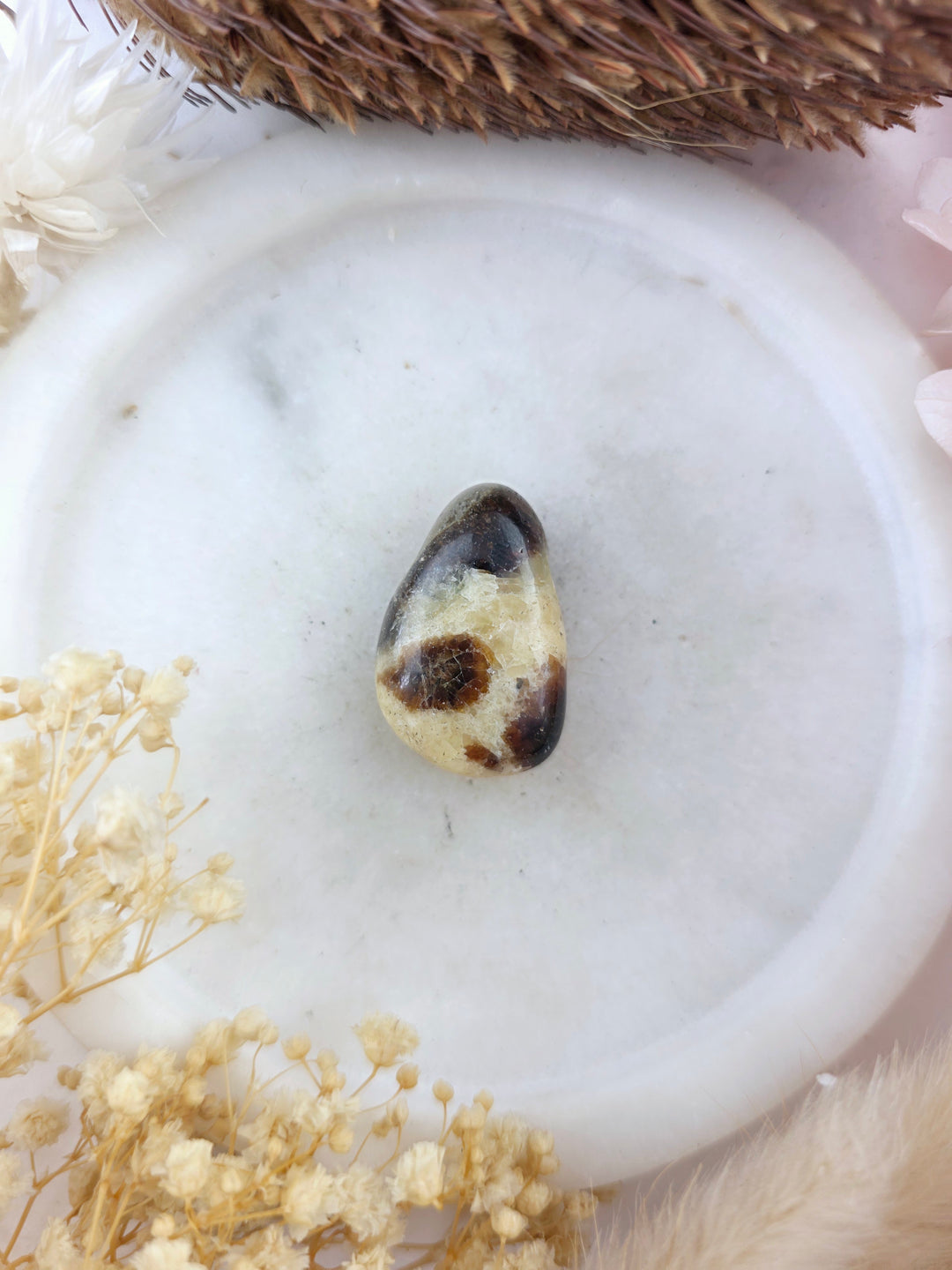 Septarian Nodule Tumbled Pendant