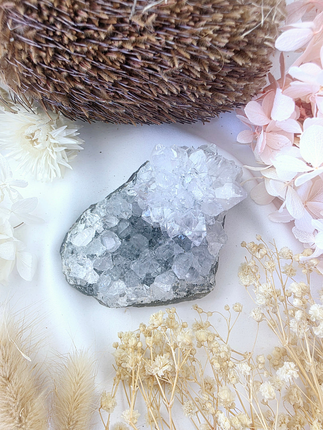 Amethyst Flower Cluster