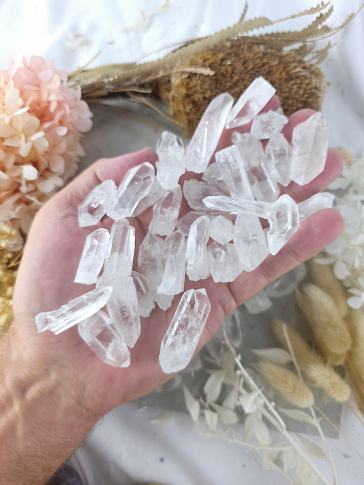 Lemurian Seed Quartz