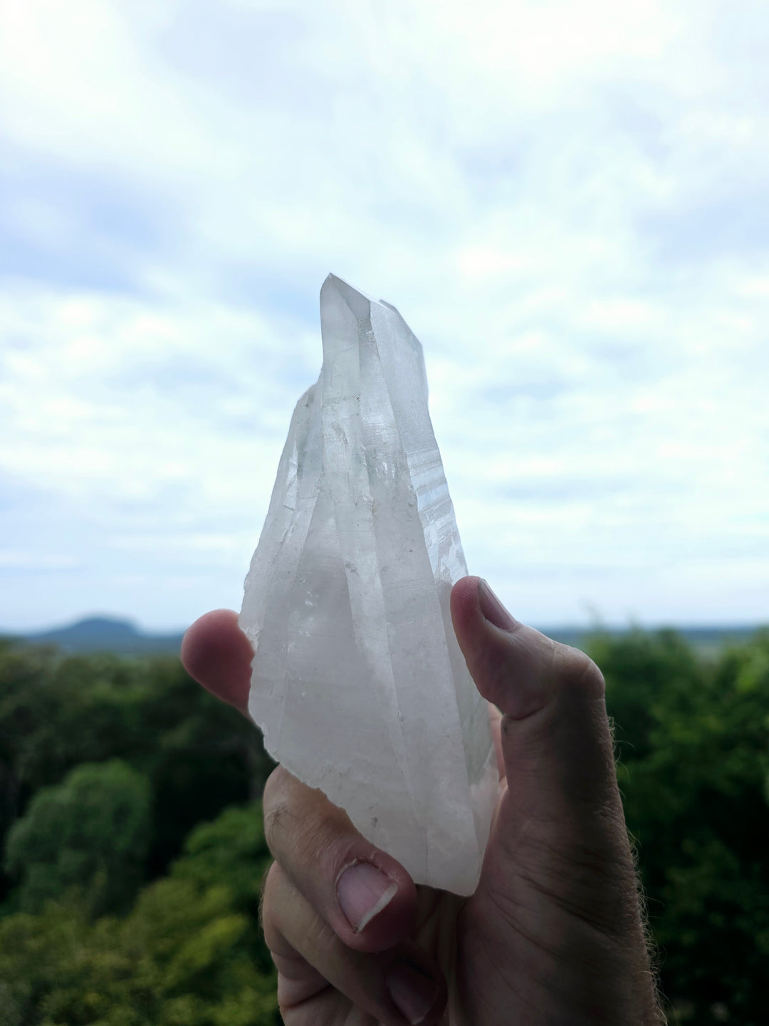 Lemurian Tantric Twin Flame Seed Quartz with Record Keepers