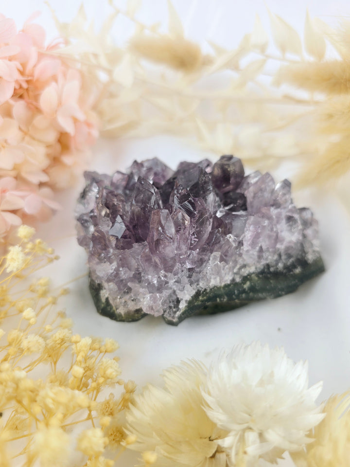 Amethyst Cluster
