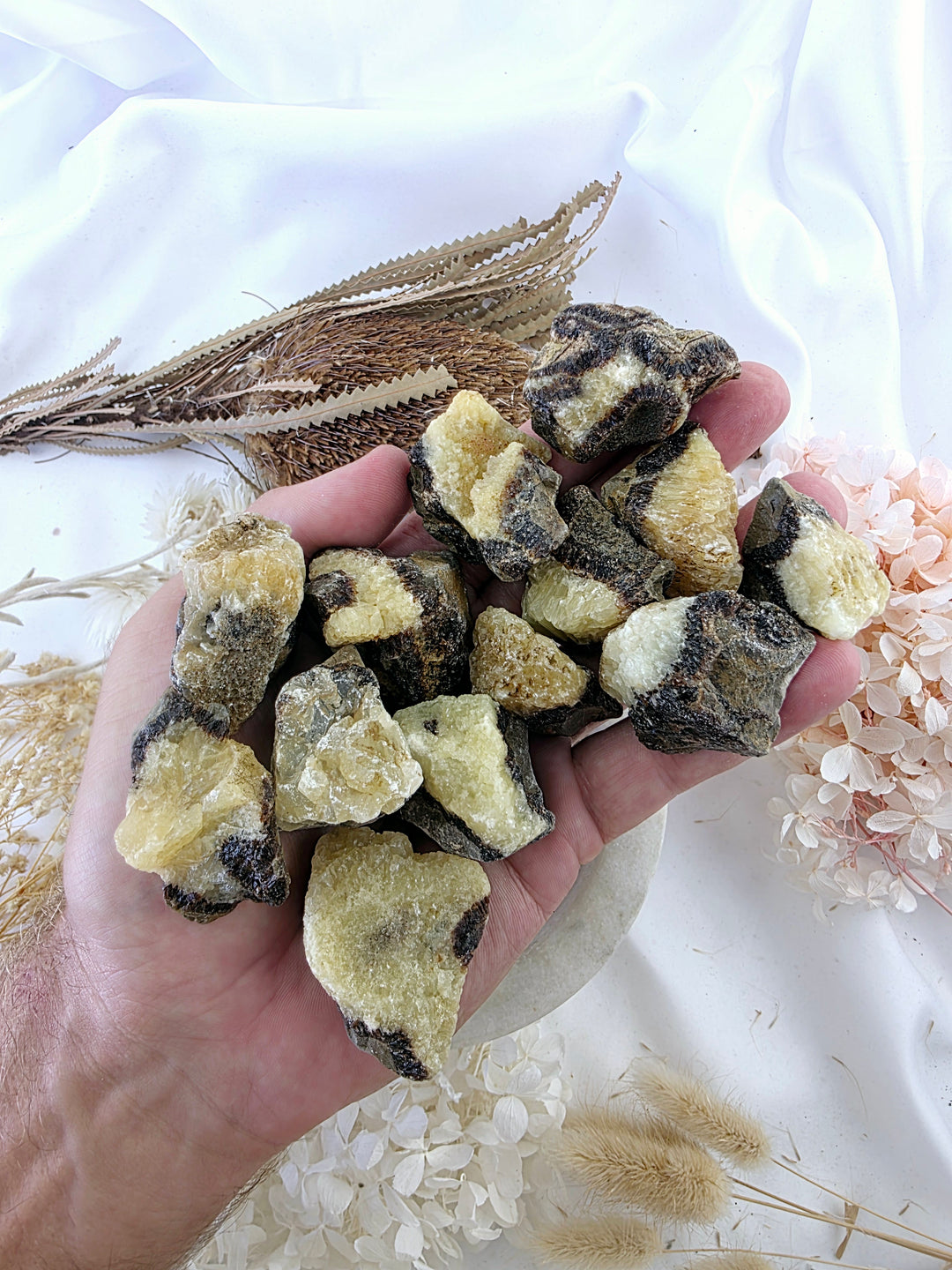 Septarian Nodule Rough