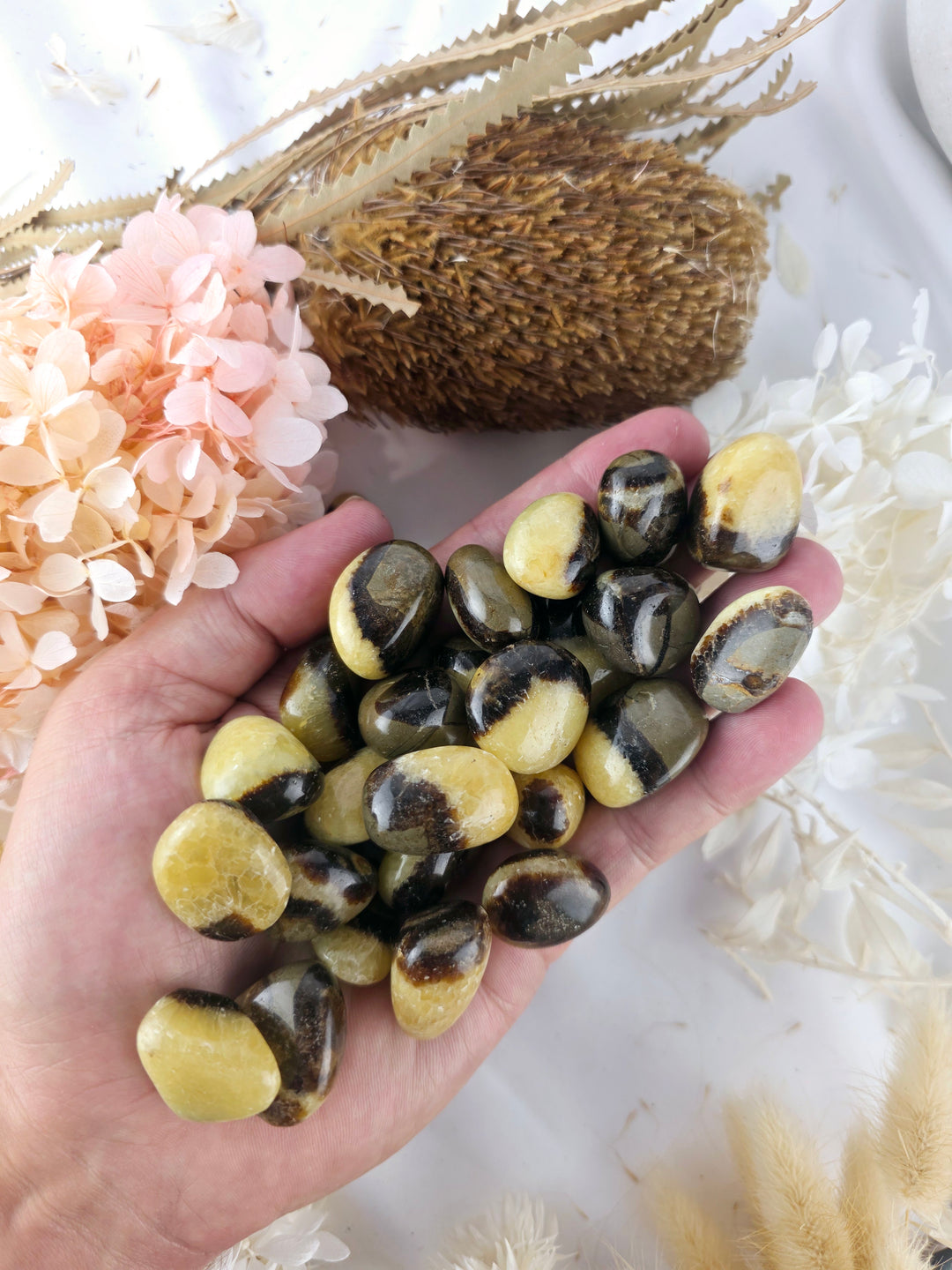 Septarian Nodule Tumbled Stone
