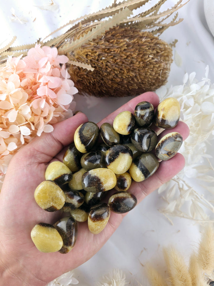 Septarian Nodule Tumbled Stone