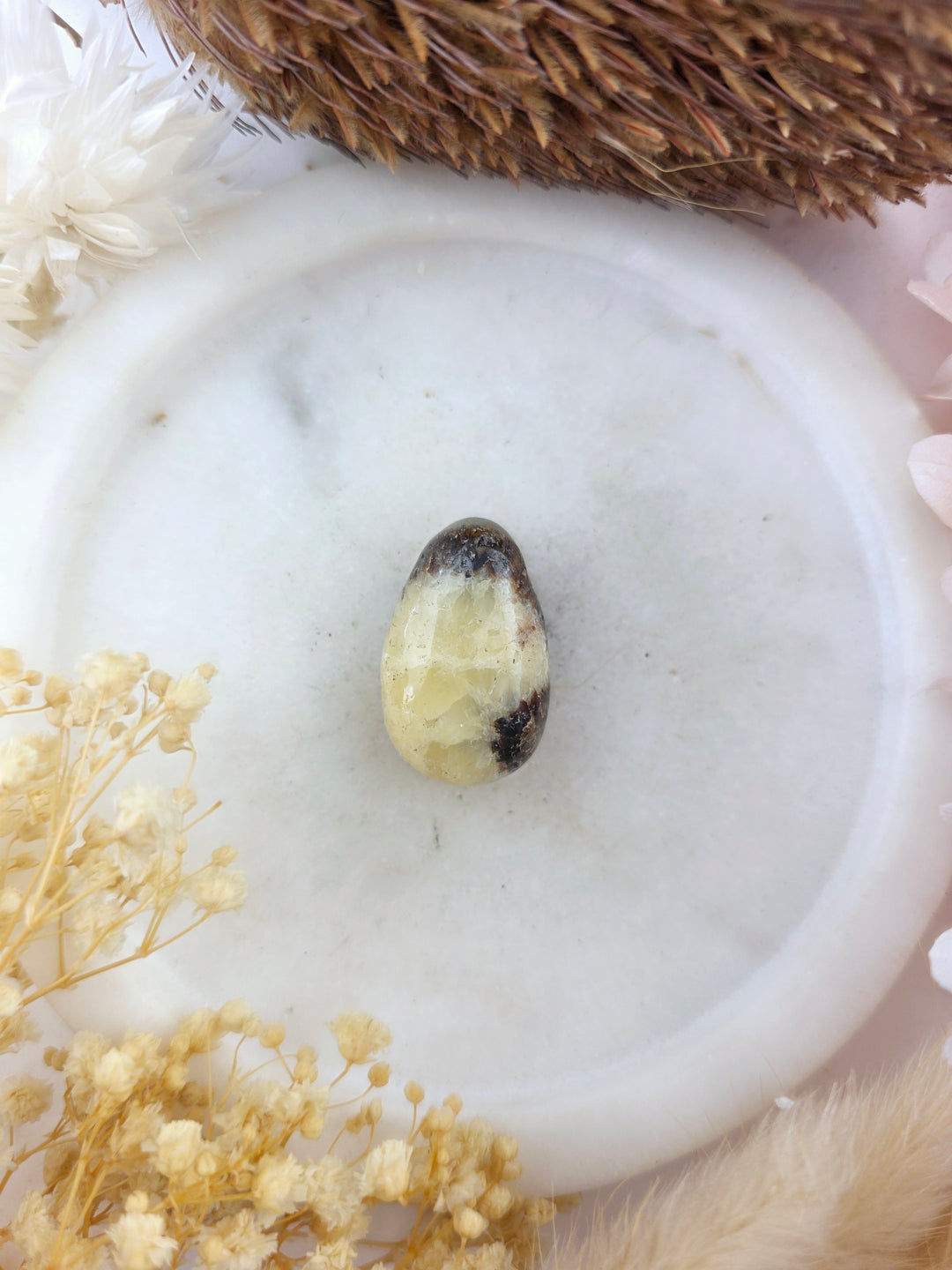 Septarian Nodule Tumbled Pendant