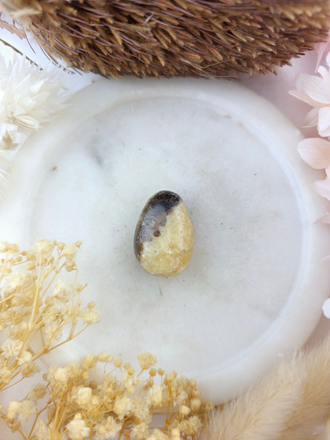 Septarian Nodule Tumbled Pendant