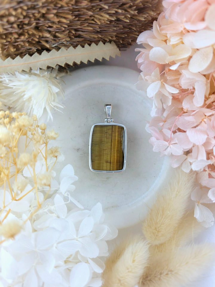 Tigers Eye Dragon Silver Pendant