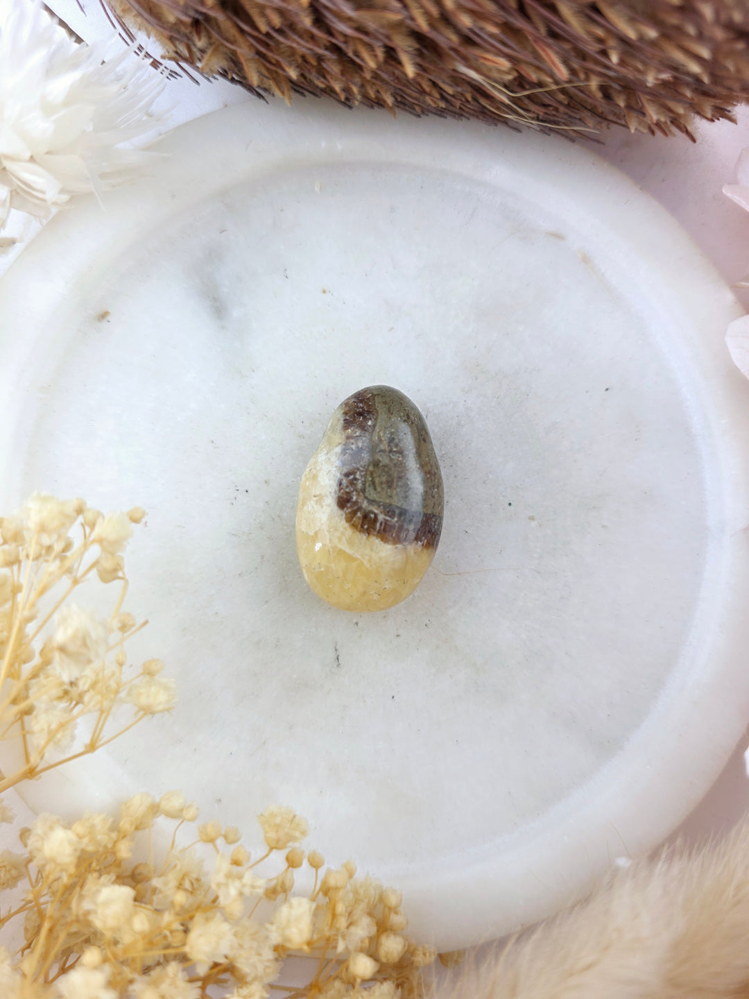 Septarian Nodule Tumbled Pendant