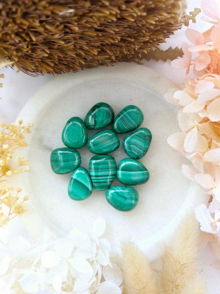 Heal & Let Go Bracelets and Pendant - The Renewal Set
