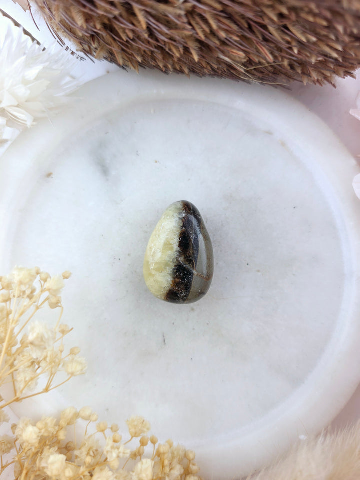Septarian Nodule Tumbled Pendant