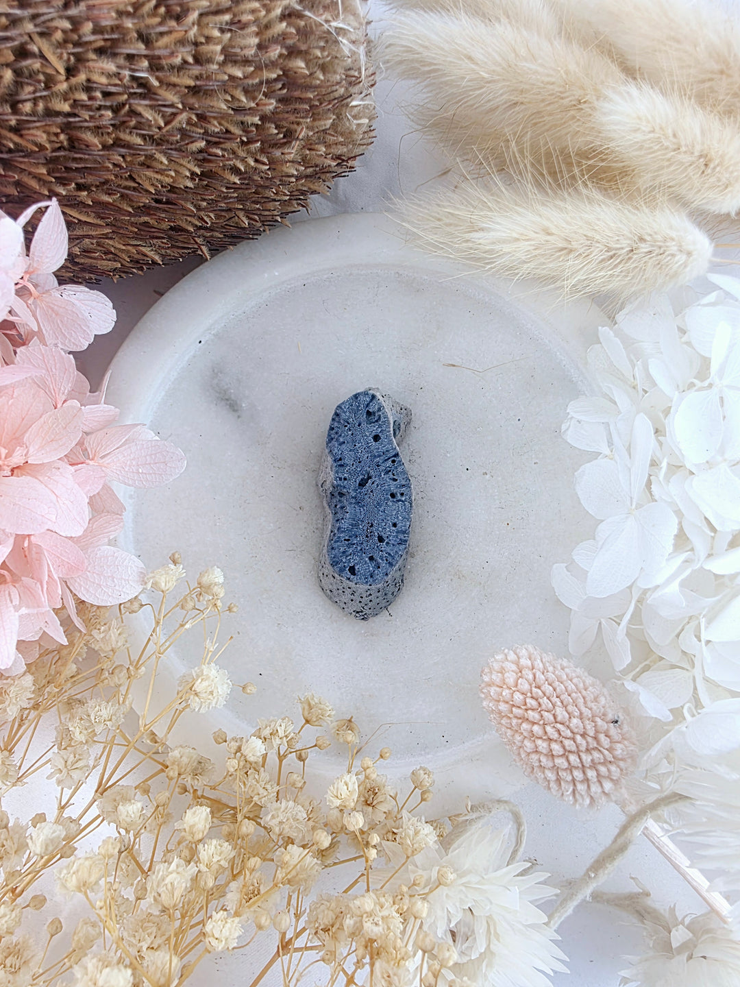 Blue Coral Pendant