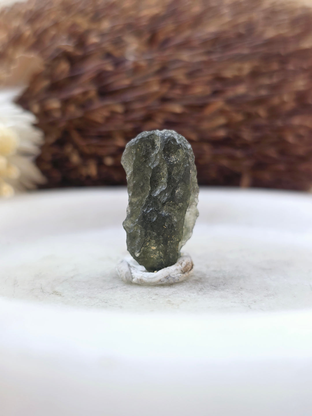 Moldavite Specimen