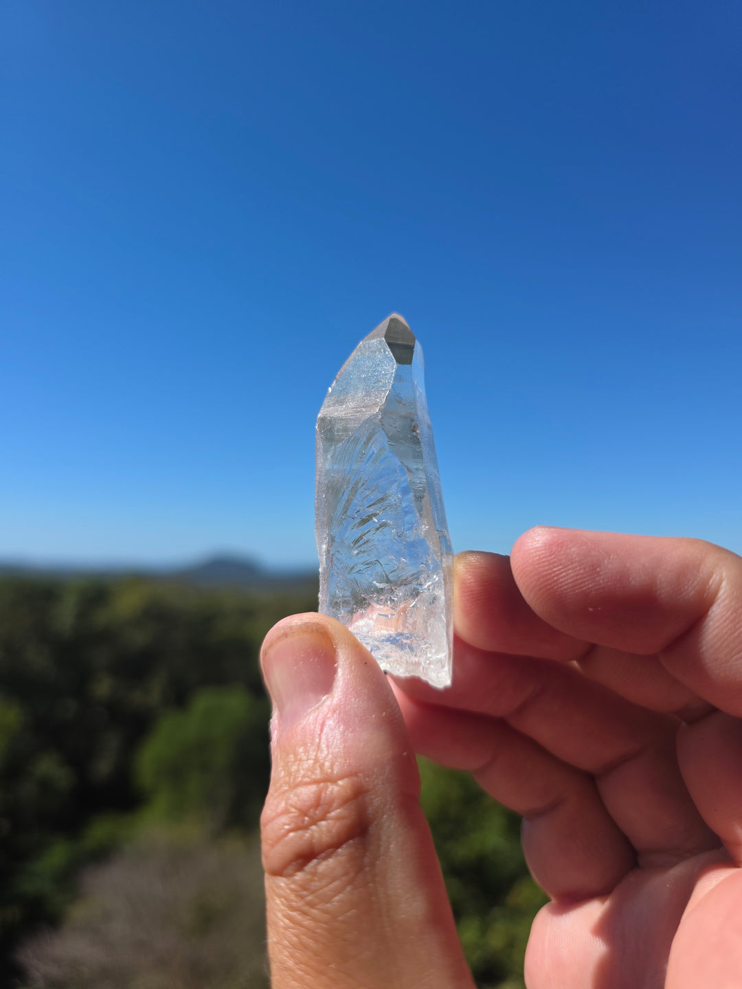Lemurian Seed Quartz Laser