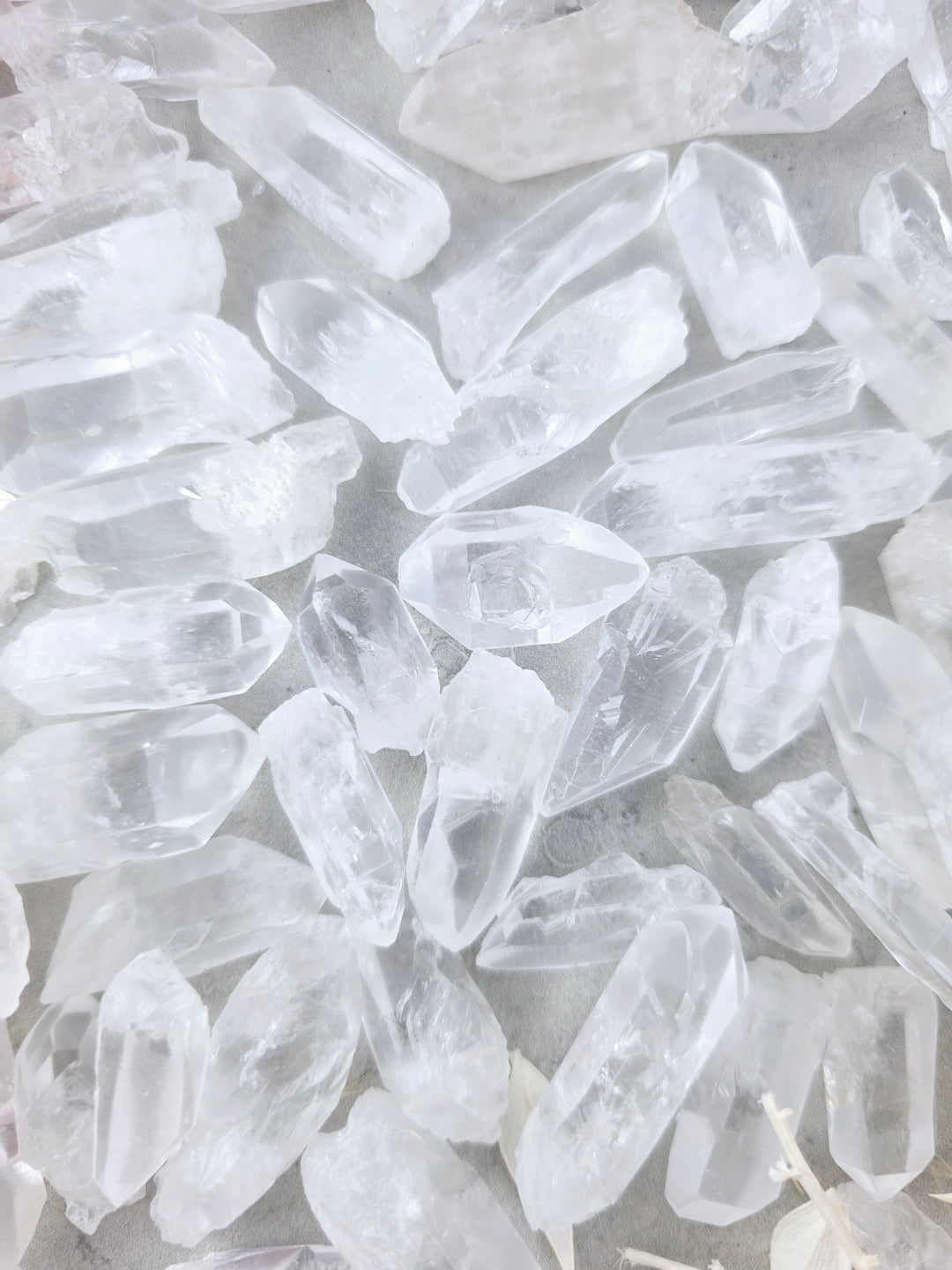 Lemurian Seed Quartz