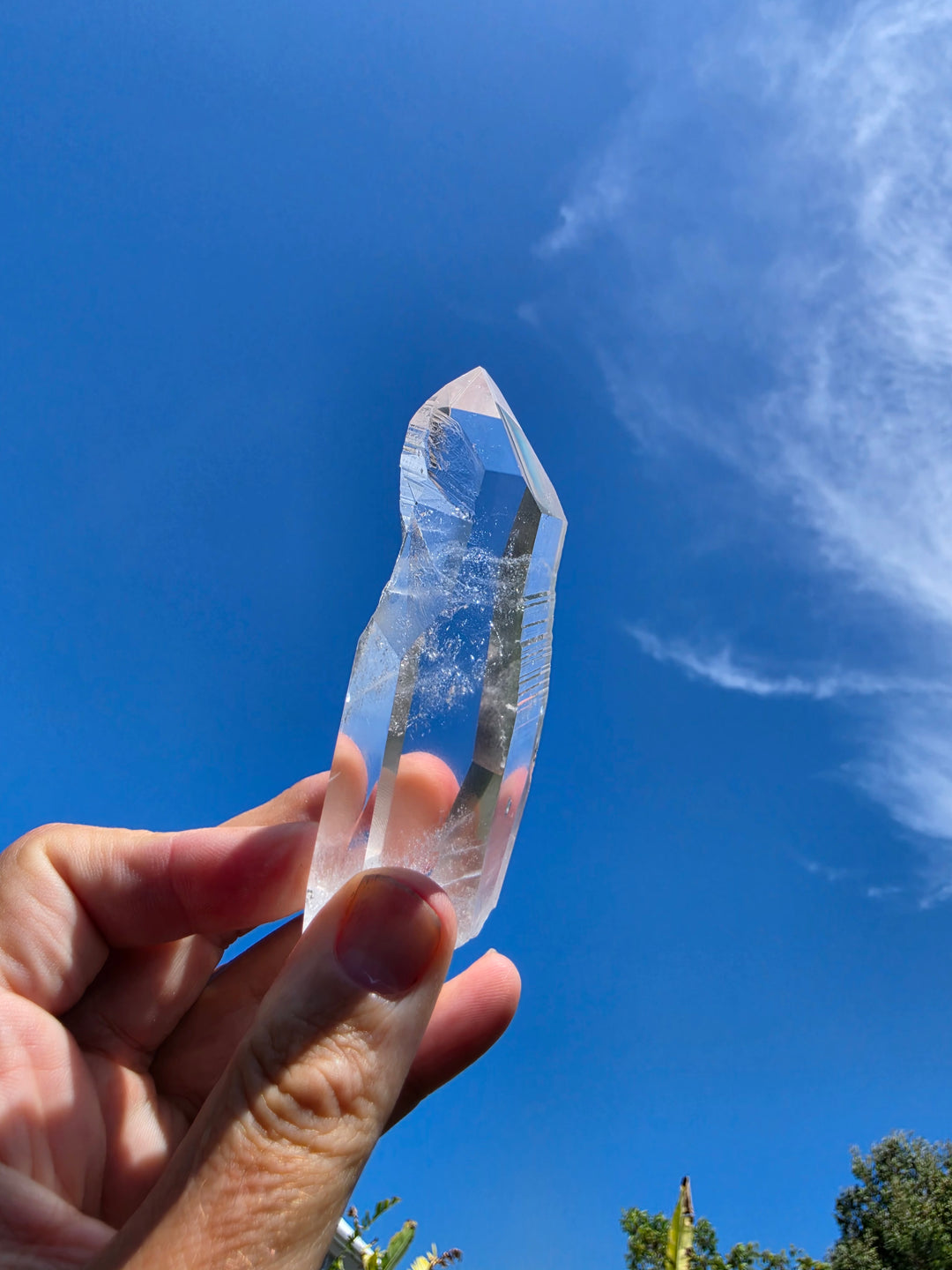 Lemurian Seed Quartz - Ancient Wisdom