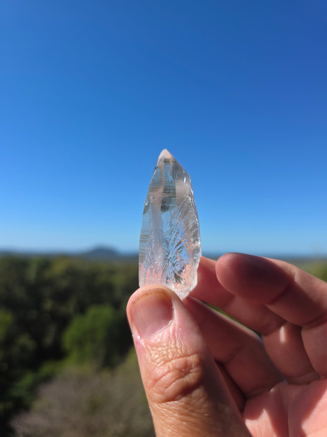 Lemurian Seed Quartz Laser