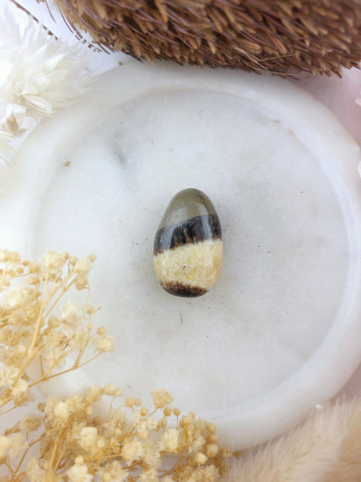 Septarian Nodule Tumbled Pendant