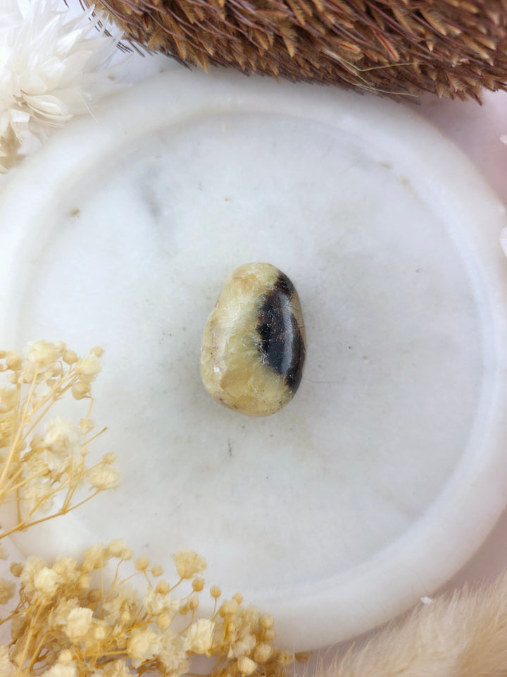 Septarian Nodule Tumbled Pendant