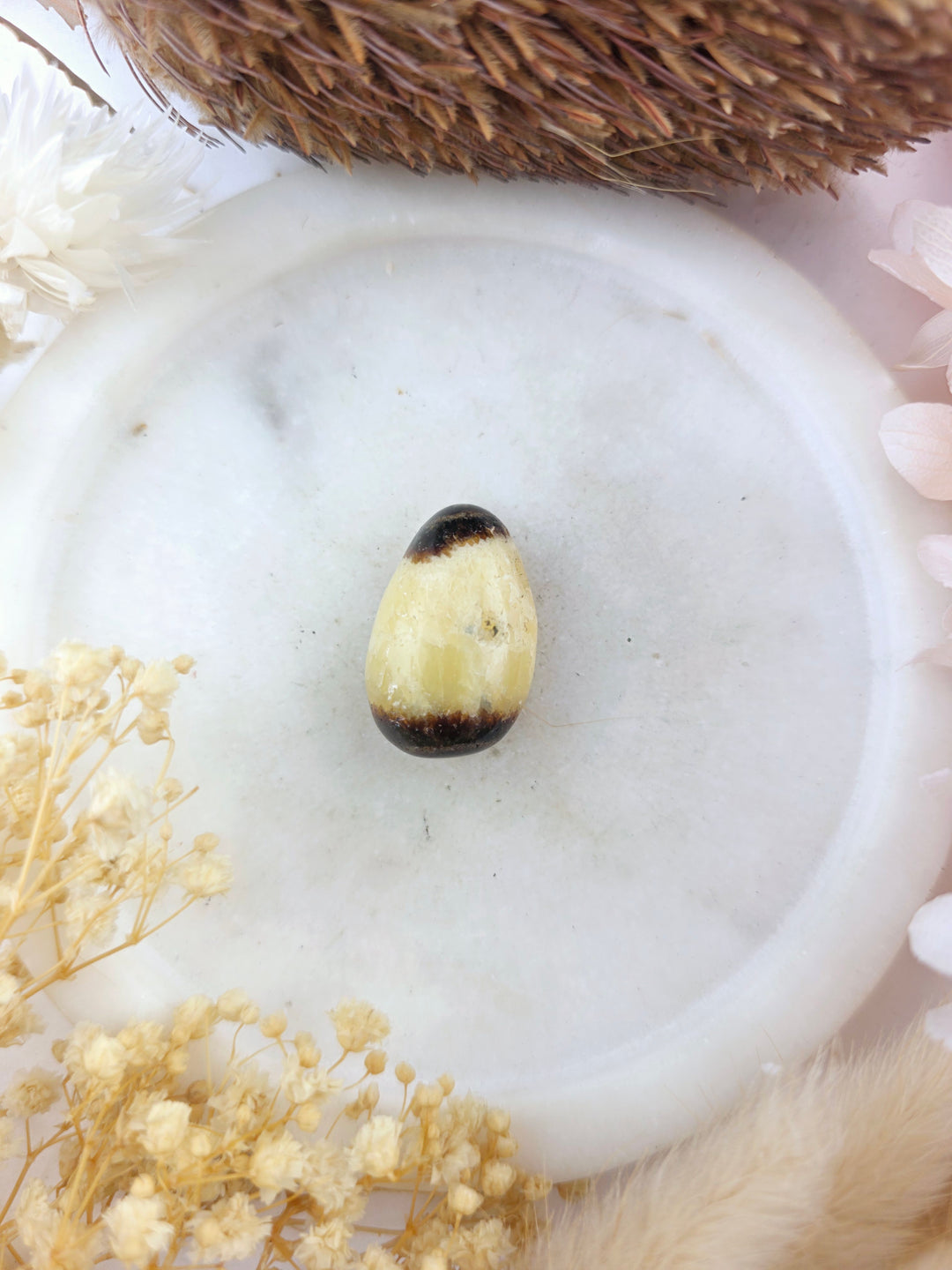 Septarian Nodule Tumbled Pendant