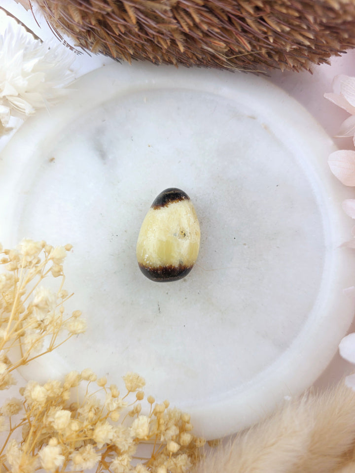 Septarian Nodule Tumbled Pendant