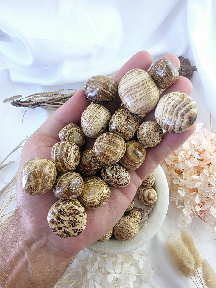 Aragonite Tumbled Stone