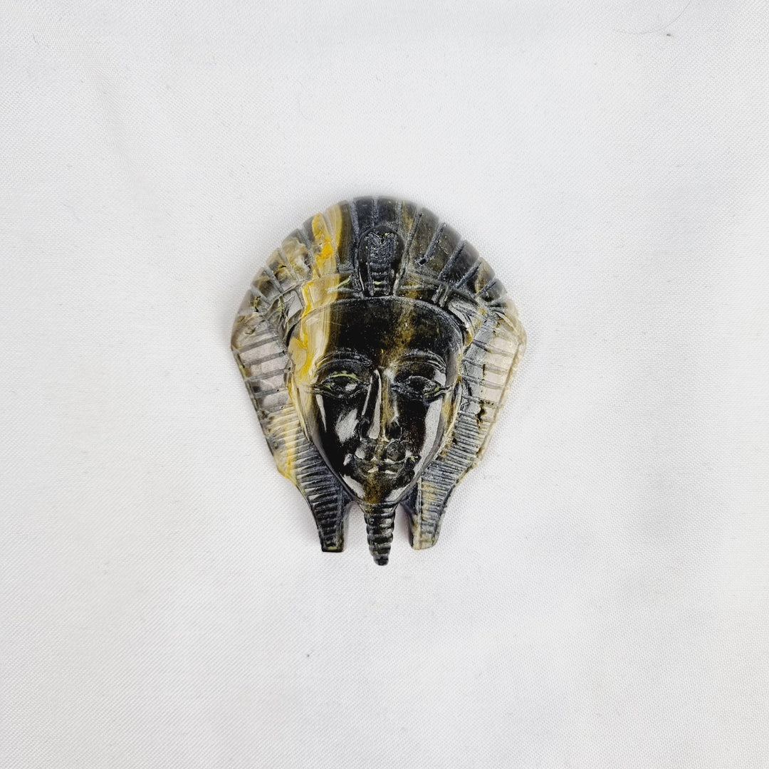 Bumble Bee Jasper Pharaoh