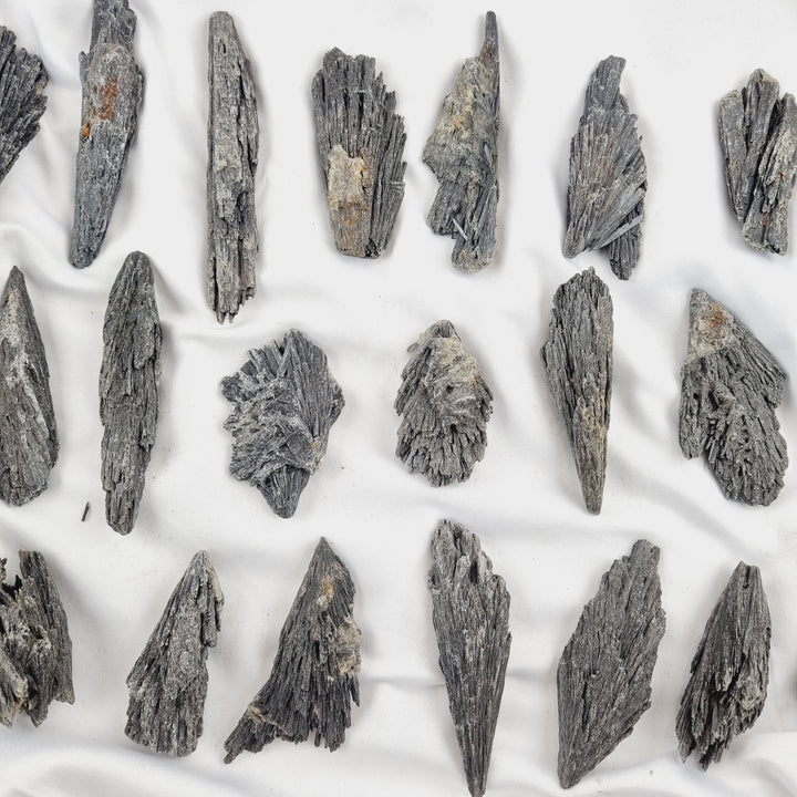 Black Kyanite specimens