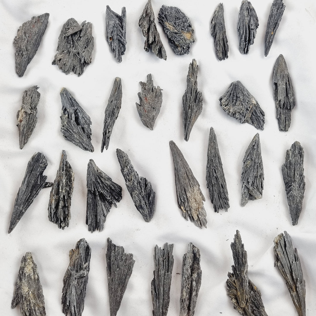 Black Kyanite Specimens