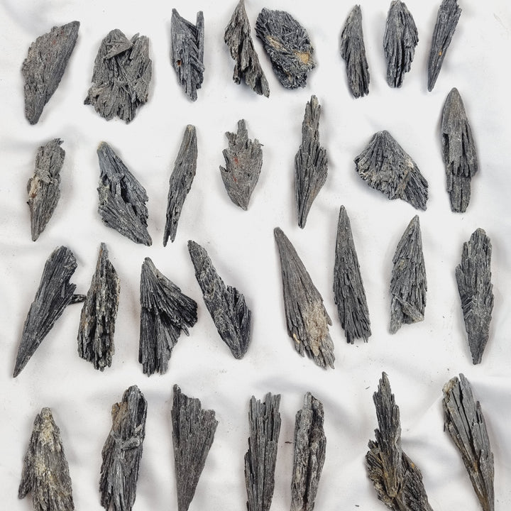 Black Kyanite Specimens
