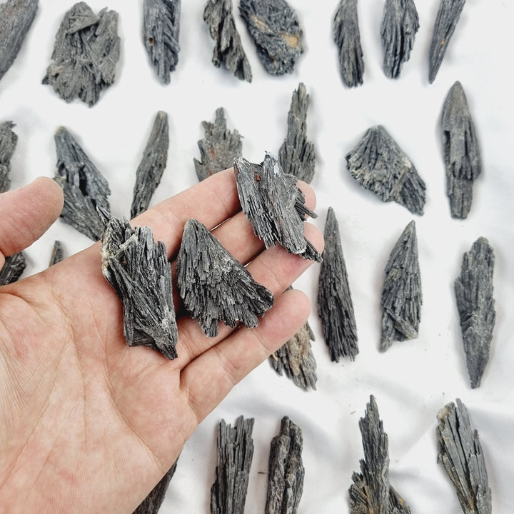 Black Kyanite Specimens