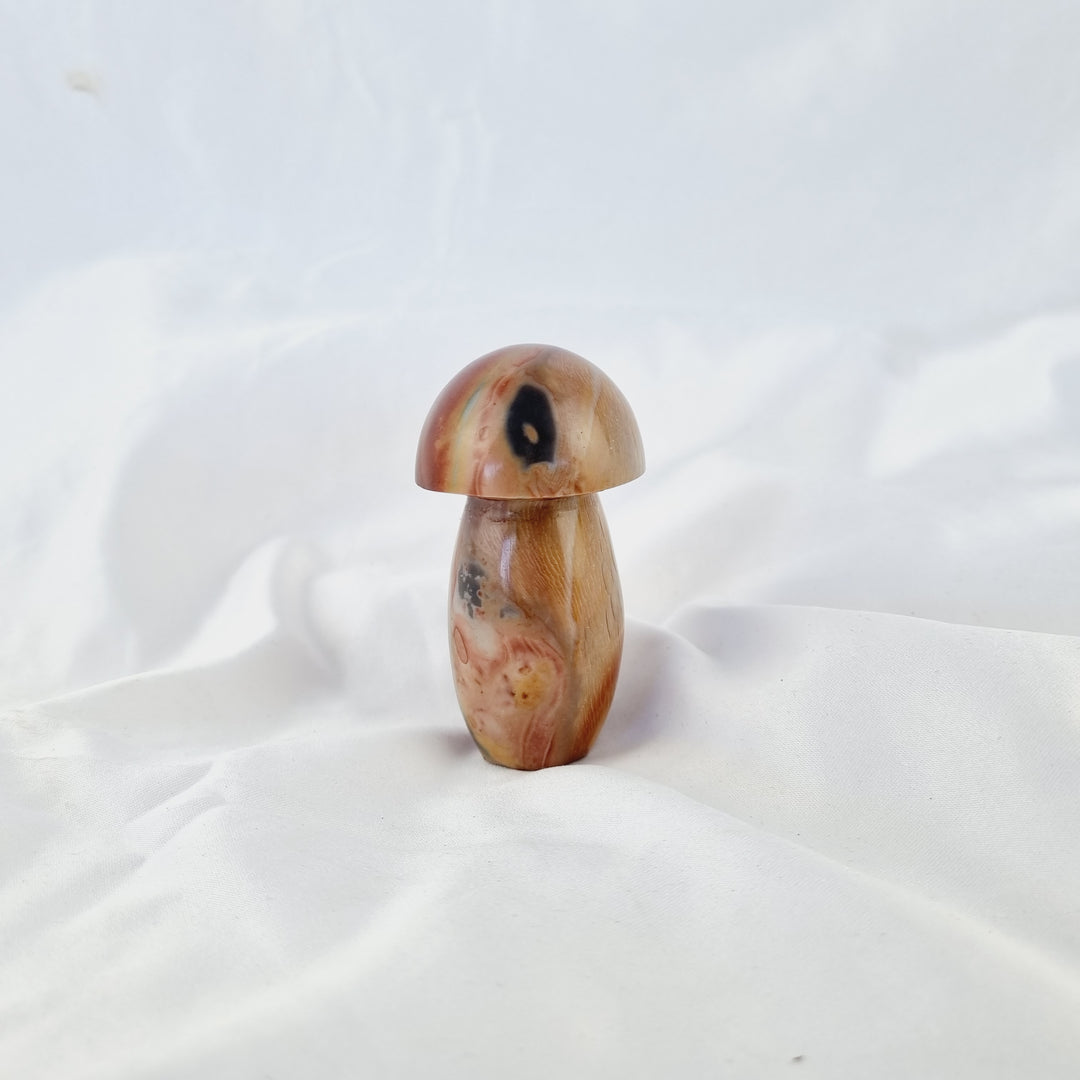 Polychrome Jasper Mushroom