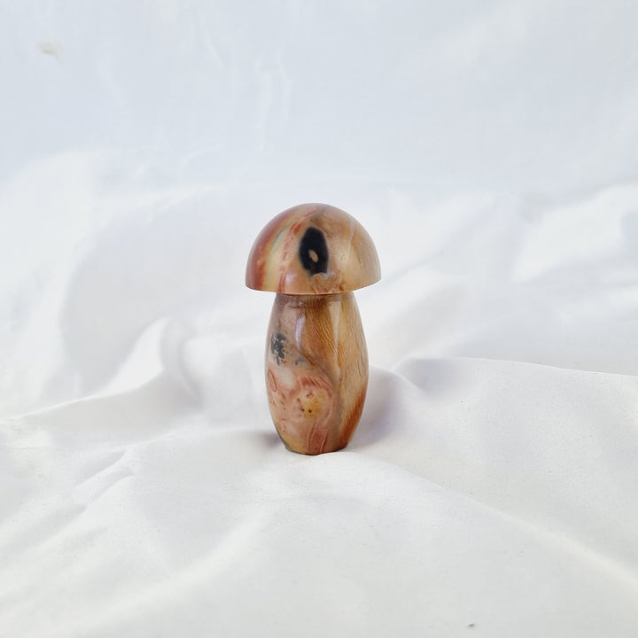 Polychrome Jasper Mushroom