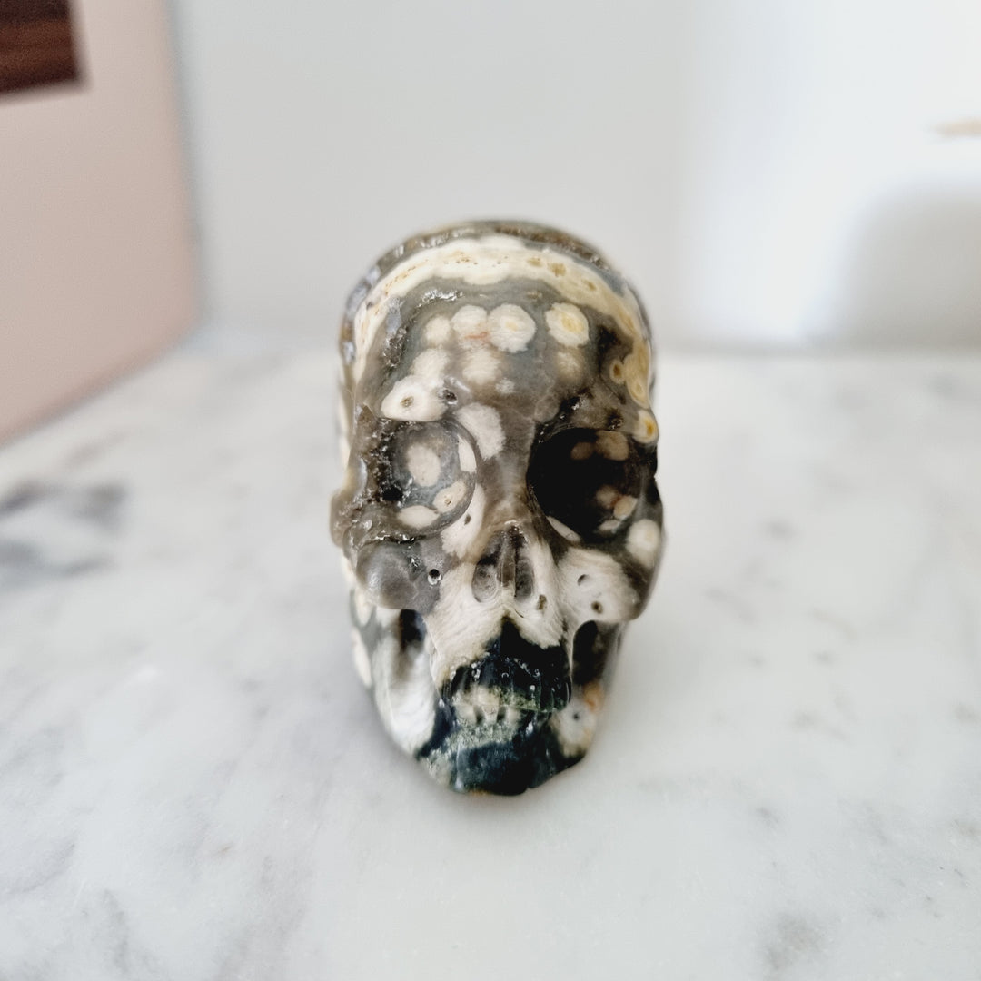 Ocean Jasper Skull