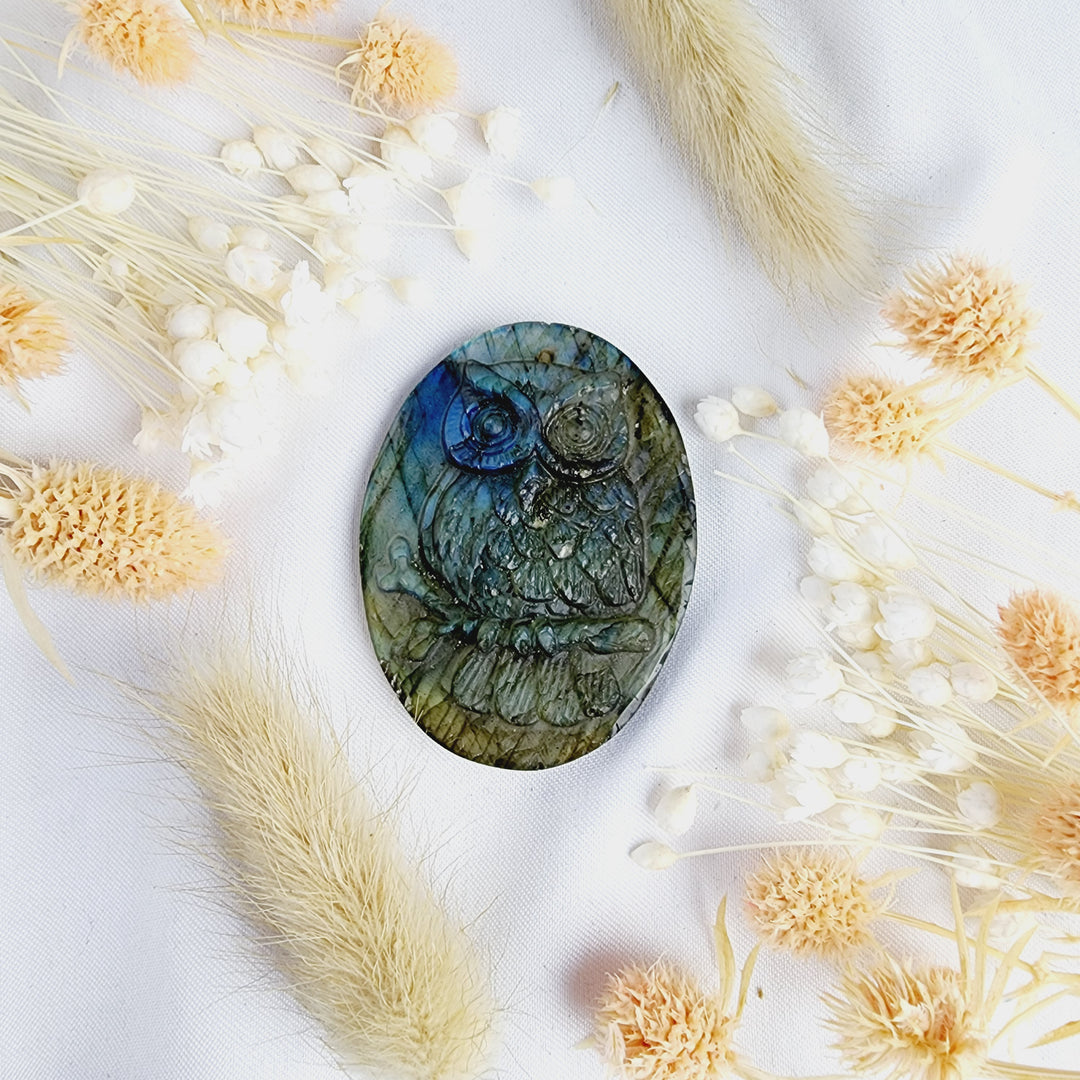 Labradorite Owl Pendant